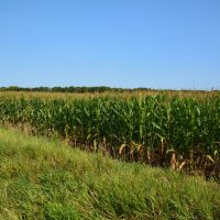 Antelope Creek Farm Hunt images 2