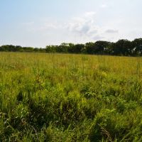 Antelope Creek Farm Hunt images 4