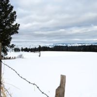 Hatke Place Land and Timber images 2