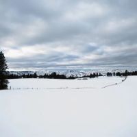 Hatke Place Land and Timber images 3
