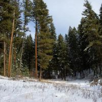 Hatke Place Land and Timber images 4