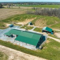 Collins Sport Horses Equestrian images 4