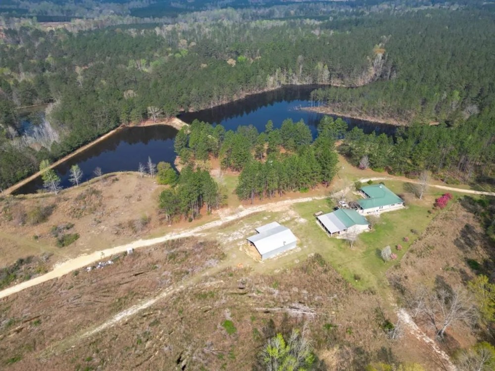 Hunting Land For Sale in Lamar County MS 268 Acres featured image