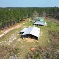 Hunting Land For Sale in Lamar County MS 268 Acres images 3