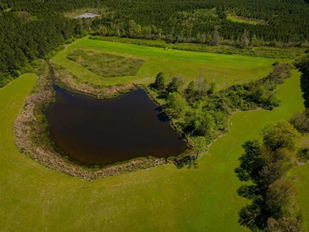 155 acres for Sale Hunting Land in Jefferson County MS featured image