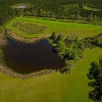 155 acres for Sale Hunting Land in Jefferson County MS
