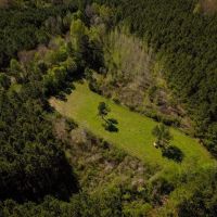155 acres for Sale Hunting Land in Jefferson County MS images 2