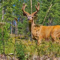 Storm King Ranch images 2