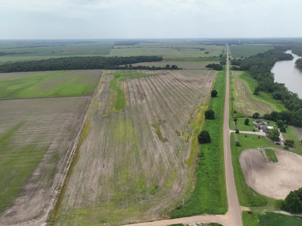 Cypress Lake Farm featured image