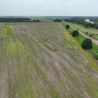 Cypress Lake Farm images 2