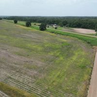 Cypress Lake Farm images 4