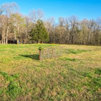 Leaning Cedar Ranch images 3
