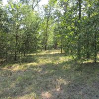 Turkey Creek Recreation Hunting Cabin Ringold Pushmataha County OK 3 AC images 4