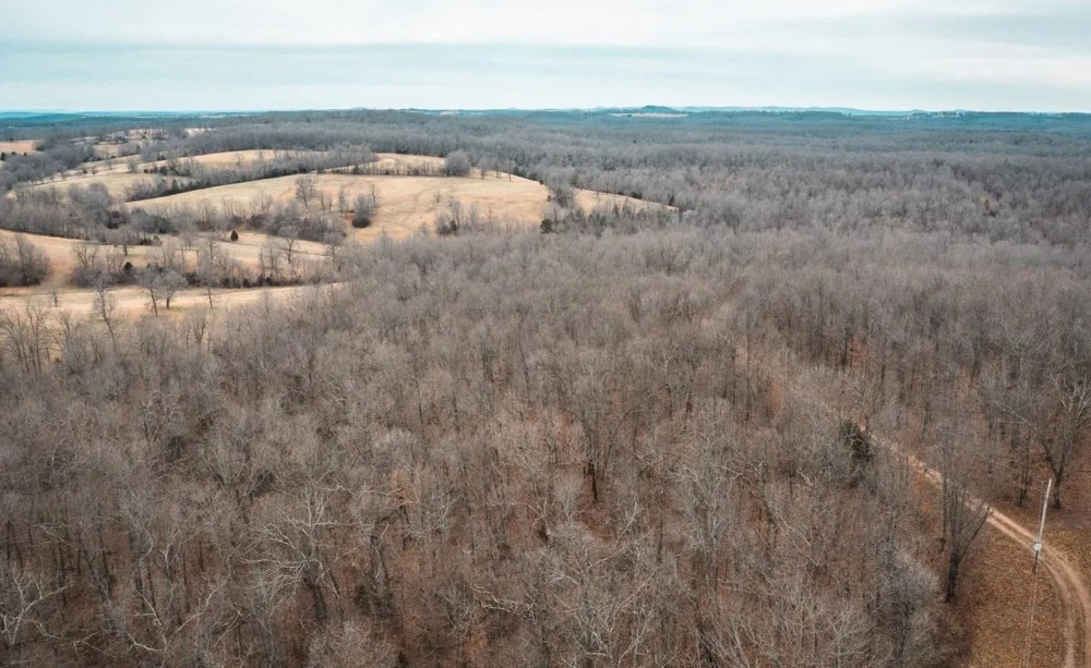 Arkansas Awaiting featured image