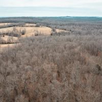 Arkansas Awaiting