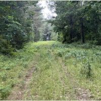 60 Acres in Kemper County in Scooba MS images 1