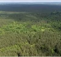 60 Acres in Kemper County in Scooba MS images 2