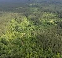60 Acres in Kemper County in Scooba MS images 3