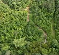 60 Acres in Kemper County in Scooba MS images 4
