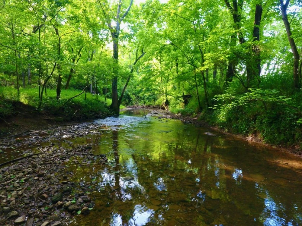 Elk River Estate featured image