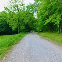 Elk River Estate images 4