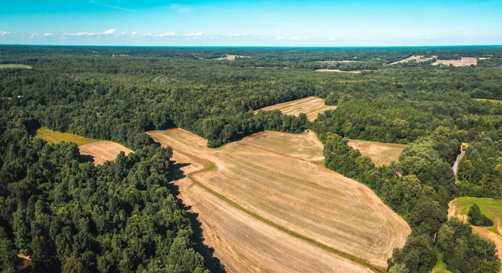 Marshall County 60 Hunting Land for Sale