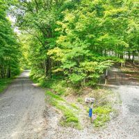 AUCTION - 42 ACRES - NOBLE COUNTY