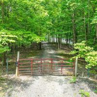 AUCTION - 42 ACRES - NOBLE COUNTY images 2