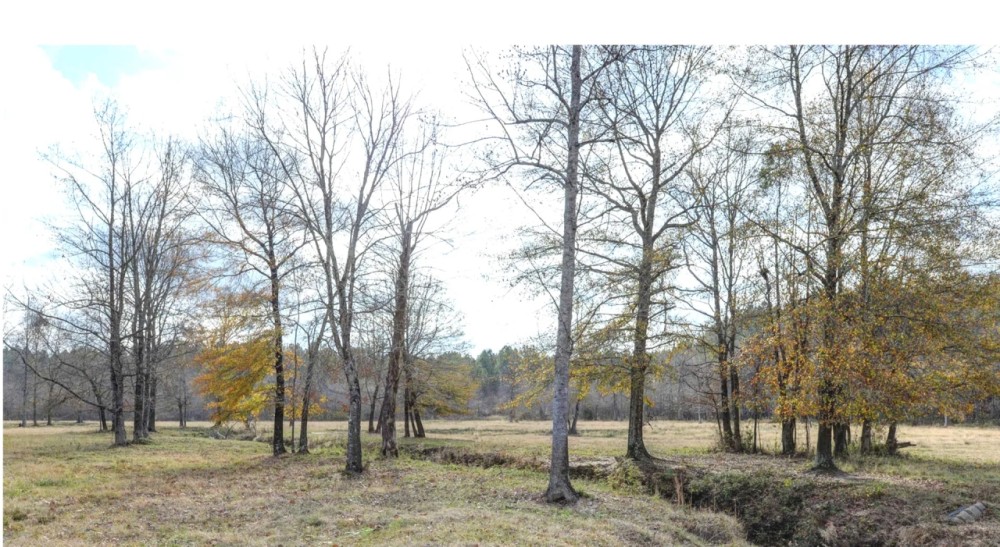 103 Acres in Lauderdale County in Lauderdale MS featured image
