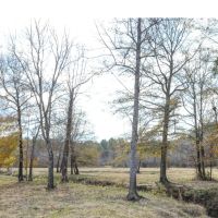 103 Acres in Lauderdale County in Lauderdale MS