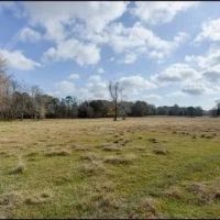 103 Acres in Lauderdale County in Lauderdale MS images 2