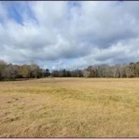 103 Acres in Lauderdale County in Lauderdale MS images 4