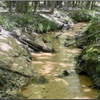 47 Acres in Choctaw County in Ackerman MS images 2