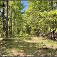 47 Acres in Choctaw County in Ackerman MS images 4