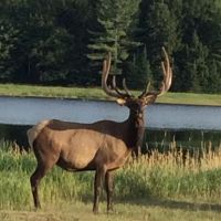 The Wilderness Reserve