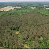 34.9 Acres in Yalobusha County in Coffeeville MS