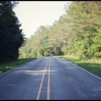 34.9 Acres in Yalobusha County in Coffeeville MS images 4