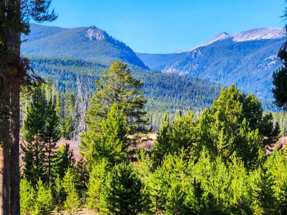 Sundance Ranch br on La Marche Creek featured image