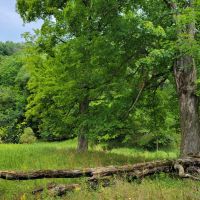20 Acre Remote Destination Near Norwalk Wisconsin images 2