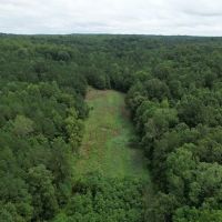 The Wick - 222 Acres Land for Sale Union County MS images 2