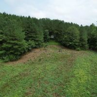 The Wick - 222 Acres Land for Sale Union County MS images 3