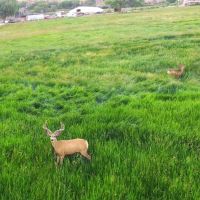 Hawkins Ranch images 4