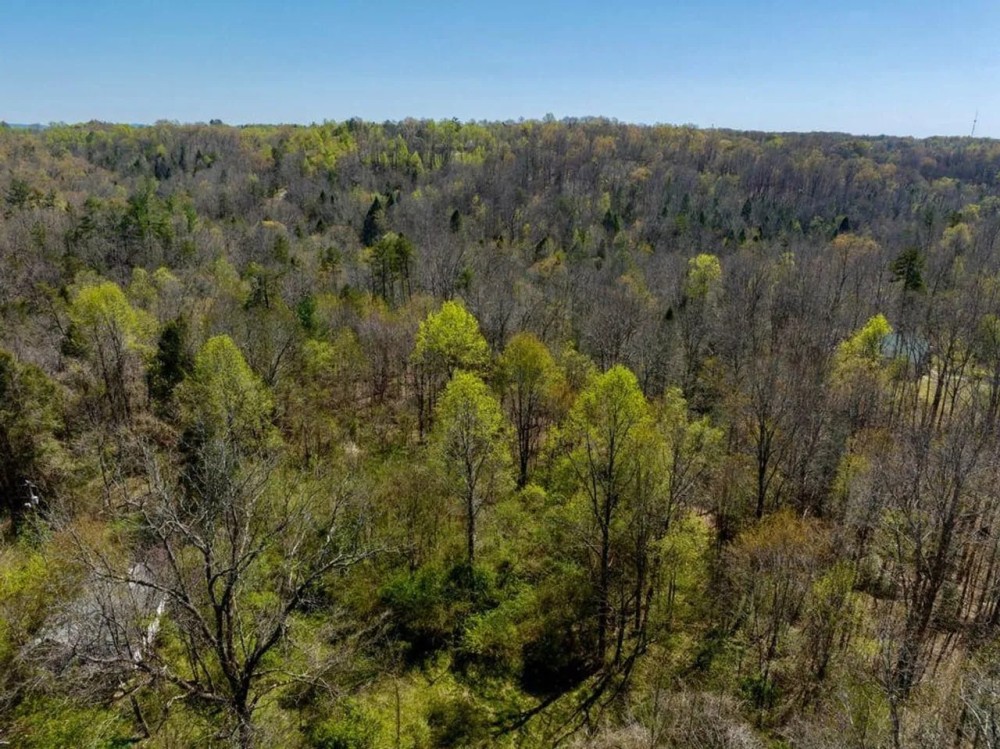 12 Acres McCreary County KY Hunting Land for Sale HuntingLocator