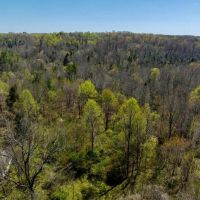 12 Acres McCreary County KY