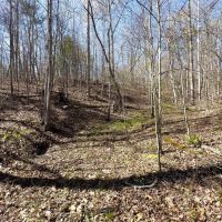 12 Acres McCreary County KY images 4