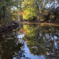 Franklin Tennessee Paradise Farm images 3