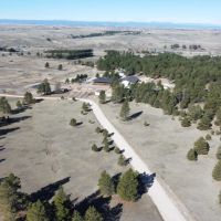 Elizabeth Pines 57 images 1