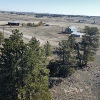Elizabeth Pines 57 images 2