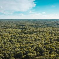 The Meramec River Overlook