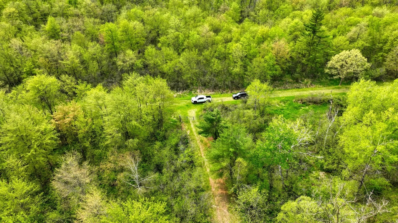 138 Wooded TurnKey Acres Monroe County Hunting Land for Sale